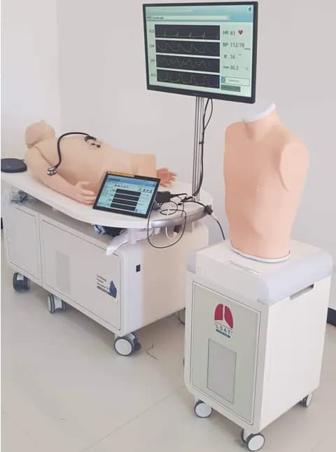 Auscultation simulator