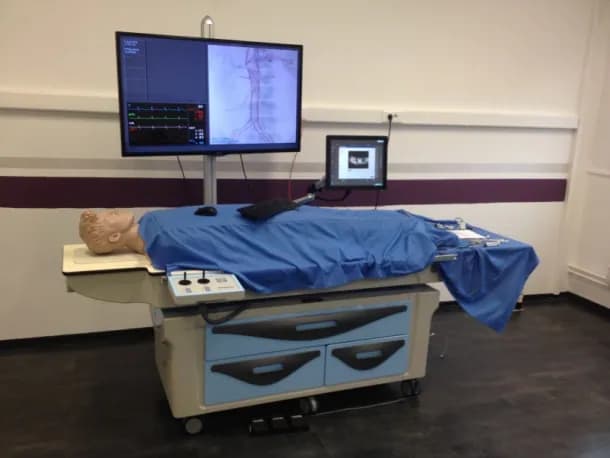 Virtual reality simulator for interventional procedures