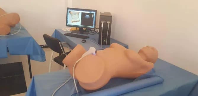 Ultrasound simulator